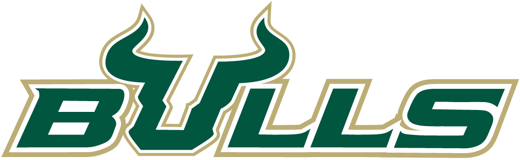 South Florida Bulls 2003-Pres Wordmark Logo diy iron on heat transfer